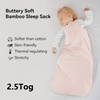 BubblePanda Rayon Made From Bamboo Sleep Sack 12-18 Months 2.5 Tog Winter Toddler Sleep Sack for Babies Soft Warm Quilted Baby Wearable Blanket 2-Way Zipper Thick Baby Sleeping Bag(Pink)