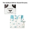 BubblePanda Rayon Made from Bamboo Sleep Sack with Feet 2t-3t 1.0 Tog Print(Dinosaur)
