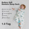 BubblePanda Rayon Made from Bamboo Sleep Sack with Feet 2t-3t 1.0 Tog Print(Dinosaur)