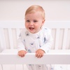 HALO SleepSack, 100% Cotton Wearable Blanket, Swaddle Transition Sleeping Bag, TOG 0.5(Sleepy Sheep)