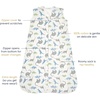 HALO SleepSack, 100% Cotton Wearable Blanket, Swaddle Transition Sleeping Bag, TOG 0.5(Watercolor Dinos)