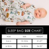 Milk Snob Disney Baby Sleeping Sack, Sleeveless Sleep Bag and Wearable Zip Up Blanket for Girl and Boy, Newborn Infant Shower(Cars)