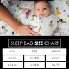 Milk Snob Disney Baby Sleeping Sack, Sleeveless Sleep Bag and Wearable Zip Up Blanket for Girl and Boy, Newborn Infant Shower(Disney Princess)