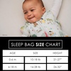 Milk Snob Disney Baby Sleeping Sack, Sleeveless Sleep Bag and Wearable Zip Up Blanket for Girl and Boy, Newborn Infant Shower(Enchanted Kingdoms)
