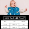 Milk Snob Disney Baby Sleeping Sack, Sleeveless Sleep Bag and Wearable Zip Up Blanket for Girl and Boy, Newborn Infant Shower(Finding Nemo)