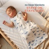 Toddler Sleep Sack 0.5 TOG Wearable Blanket, Lightweight Sleeping Bag 2T-4T(Whale Drift)