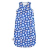 Rayon Made from Bamboo Sleep Sack 6-12 Months 1.0 TOG(Blue Dessert)